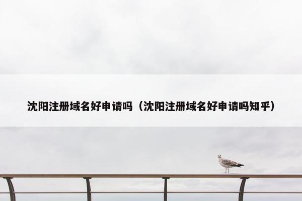 沈阳注册域名好申请吗（沈阳注册域名好申请吗知乎）