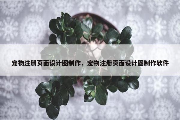 宠物注册页面设计图制作，宠物注册页面设计图制作软件