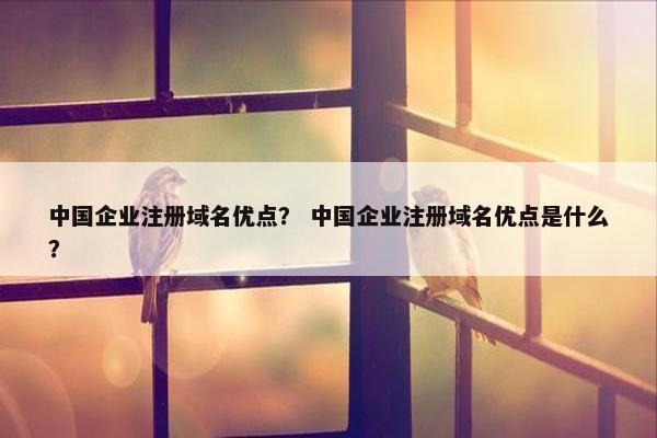 中国企业注册域名优点？ 中国企业注册域名优点是什么？