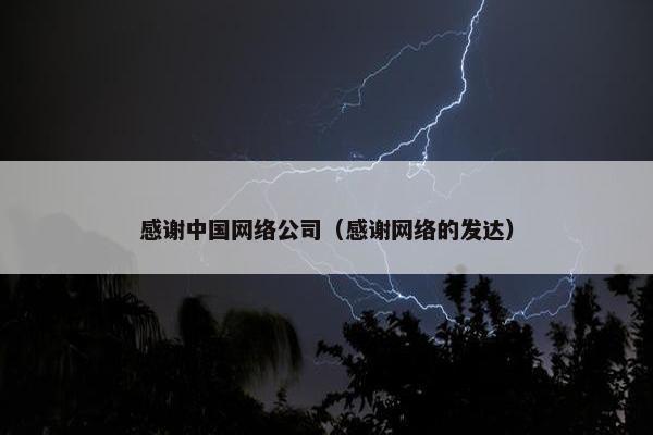感谢中国网络公司（感谢网络的发达）