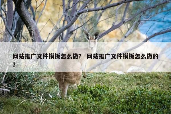 网站推广文件模板怎么做？ 网站推广文件模板怎么做的？
