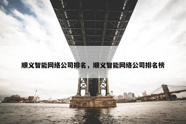 顺义智能网络公司排名，顺义智能网络公司排名榜