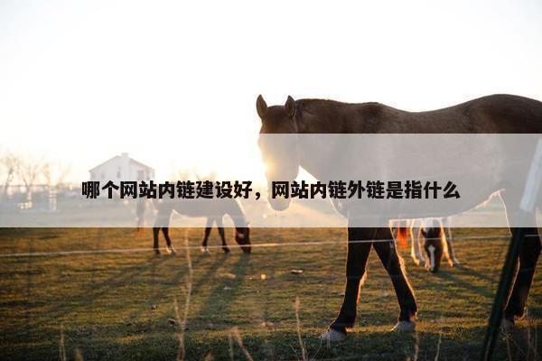 哪个网站内链建设好，网站内链外链是指什么