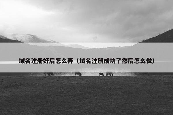 域名注册好后怎么弄（域名注册成功了然后怎么做）