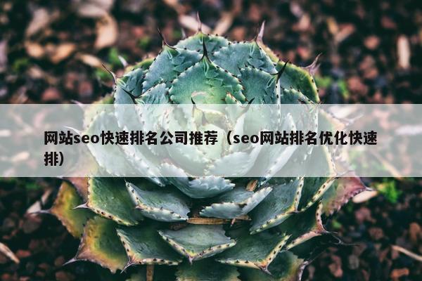 网站seo快速排名公司推荐（seo网站排名优化快速排）