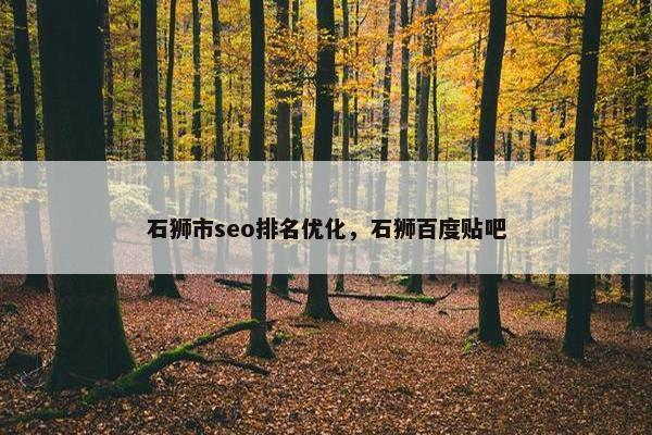 石狮市seo排名优化，石狮百度贴吧