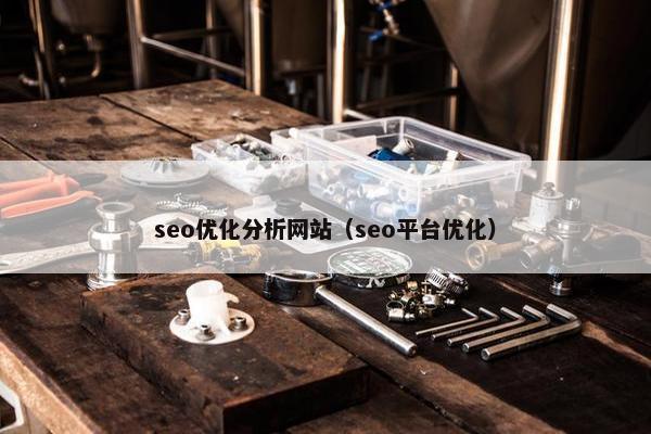 seo优化分析网站（seo平台优化）