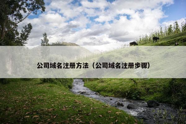 公司域名注册方法（公司域名注册步骤）