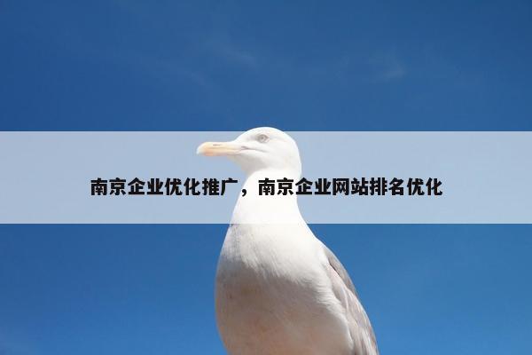 南京企业优化推广，南京企业网站排名优化