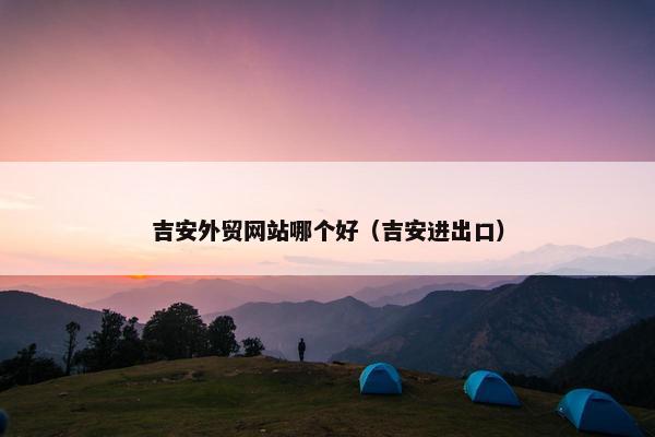 吉安外贸网站哪个好（吉安进出口）