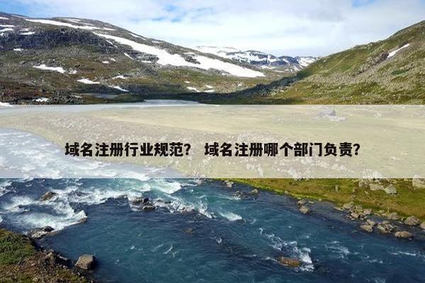 域名注册行业规范？ 域名注册哪个部门负责？