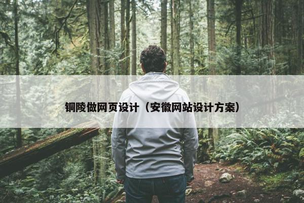 铜陵做网页设计（安徽网站设计方案）