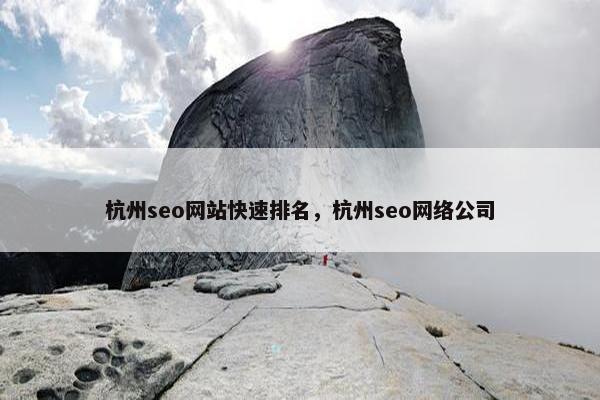 杭州seo网站快速排名，杭州seo网络公司
