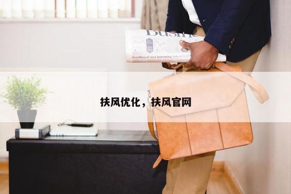 扶风优化，扶风官网