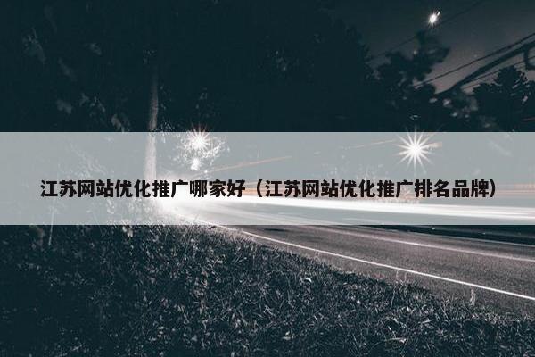 江苏网站优化推广哪家好（江苏网站优化推广排名品牌）