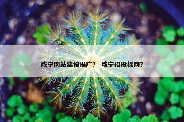 咸宁网站建设推广？ 咸宁招投标网？