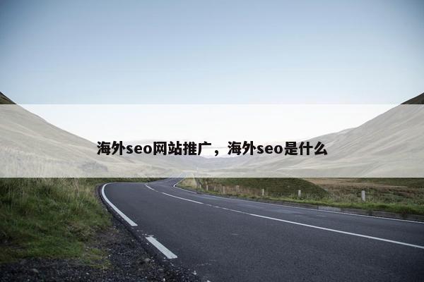 海外seo网站推广，海外seo是什么
