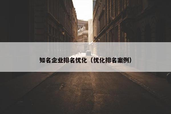 知名企业排名优化（优化排名案例）