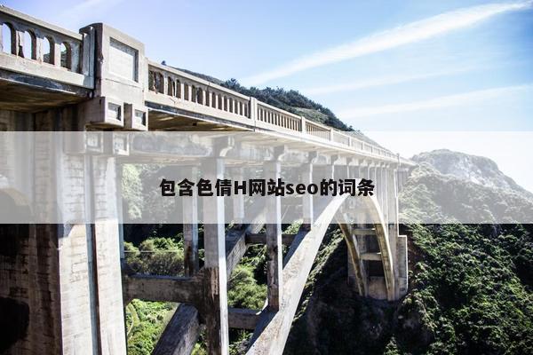 包含色倩H网站seo的词条