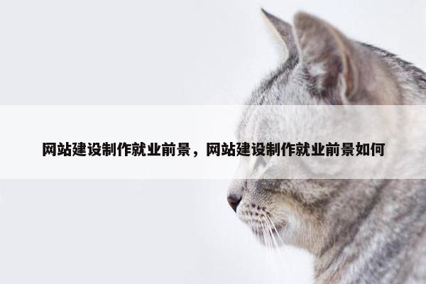 网站建设制作就业前景，网站建设制作就业前景如何
