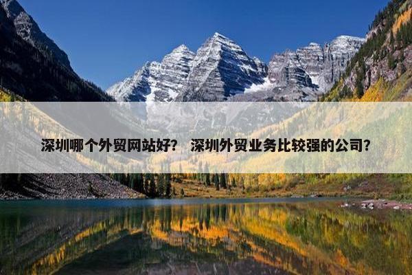 深圳哪个外贸网站好？ 深圳外贸业务比较强的公司？