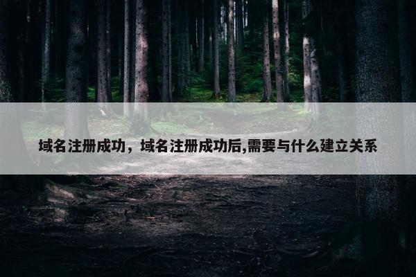 域名注册成功，域名注册成功后,需要与什么建立关系