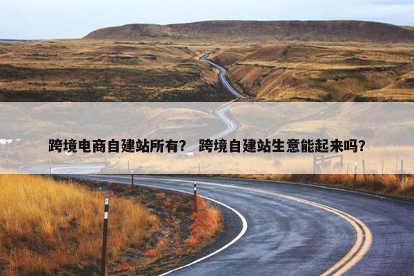 跨境电商自建站所有？ 跨境自建站生意能起来吗？