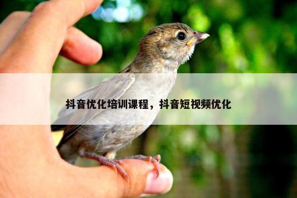 抖音优化培训课程，抖音短视频优化