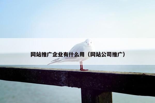 网站推广企业有什么用（网站公司推广）