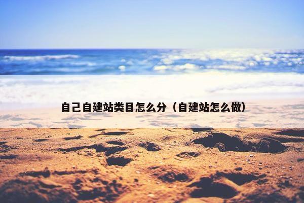 自己自建站类目怎么分（自建站怎么做）