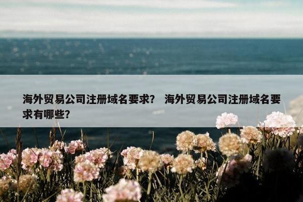海外贸易公司注册域名要求？ 海外贸易公司注册域名要求有哪些？