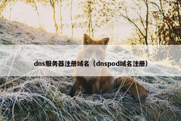 dns服务器注册域名（dnspod域名注册）