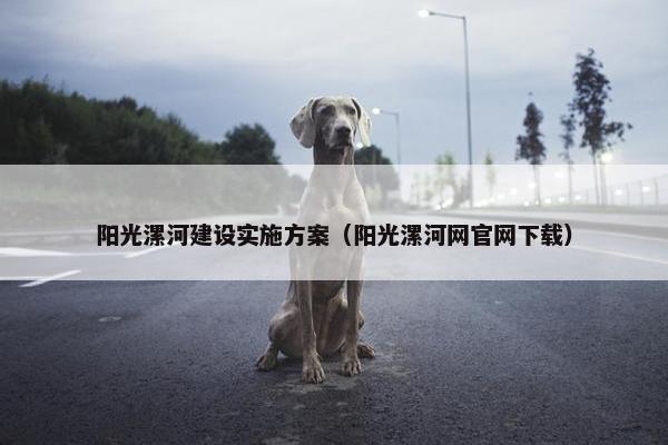 阳光漯河建设实施方案（阳光漯河网官网下载）