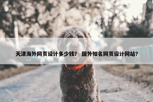 天津海外网页设计多少钱？ 国外知名网页设计网站？