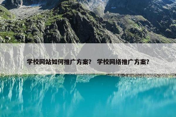 学校网站如何推广方案？ 学校网络推广方案？