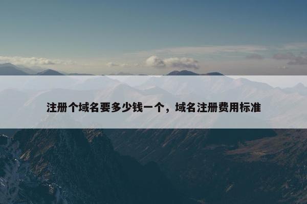 注册个域名要多少钱一个，域名注册费用标准