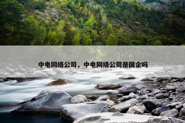 中电网络公司，中电网络公司是国企吗