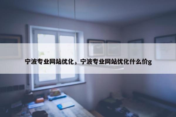 宁波专业网站优化，宁波专业网站优化什么价g