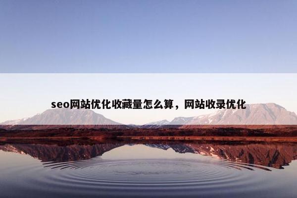 seo网站优化收藏量怎么算，网站收录优化