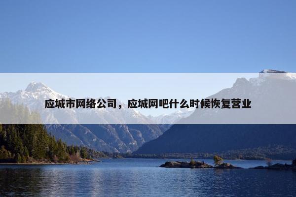 应城市网络公司，应城网吧什么时候恢复营业