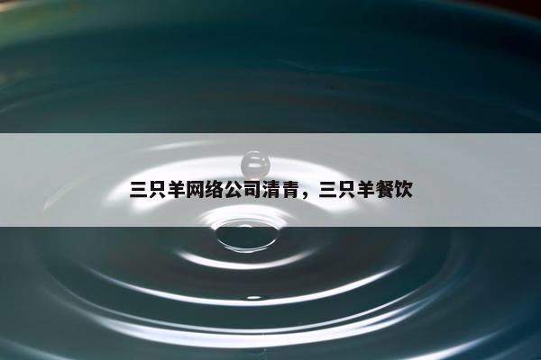 三只羊网络公司清青，三只羊餐饮
