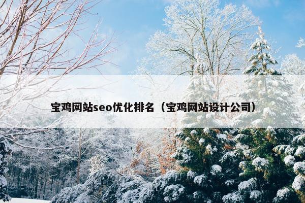 宝鸡网站seo优化排名（宝鸡网站设计公司）