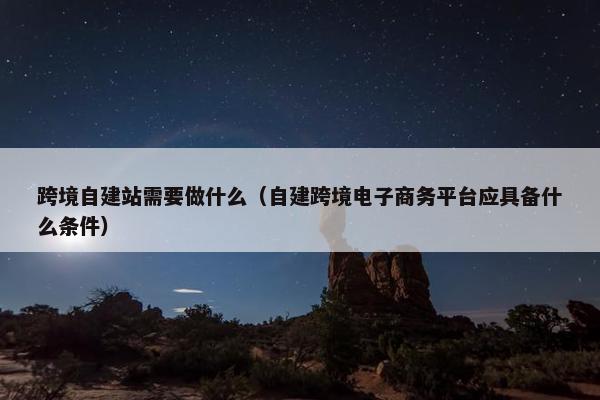 跨境自建站需要做什么（自建跨境电子商务平台应具备什么条件）
