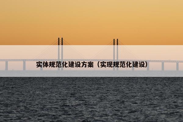实体规范化建设方案（实现规范化建设）