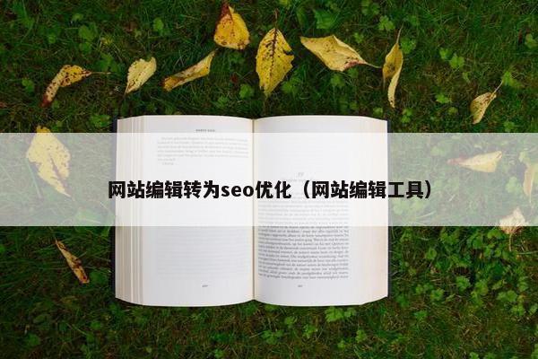 网站编辑转为seo优化（网站编辑工具）
