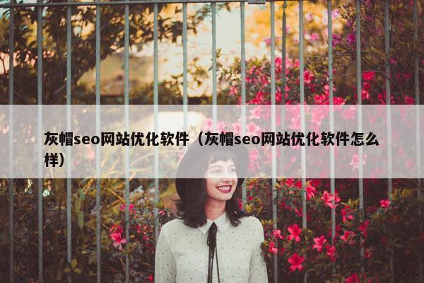 灰帽seo网站优化软件（灰帽seo网站优化软件怎么样）