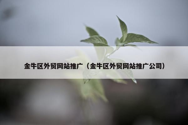 金牛区外贸网站推广（金牛区外贸网站推广公司）