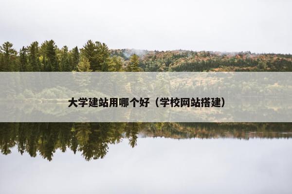 大学建站用哪个好（学校网站搭建）