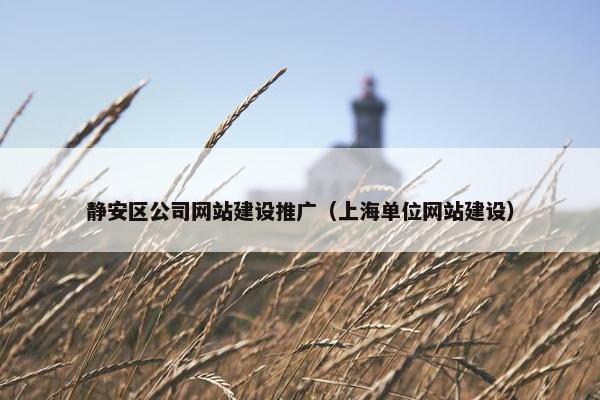 静安区公司网站建设推广（上海单位网站建设）