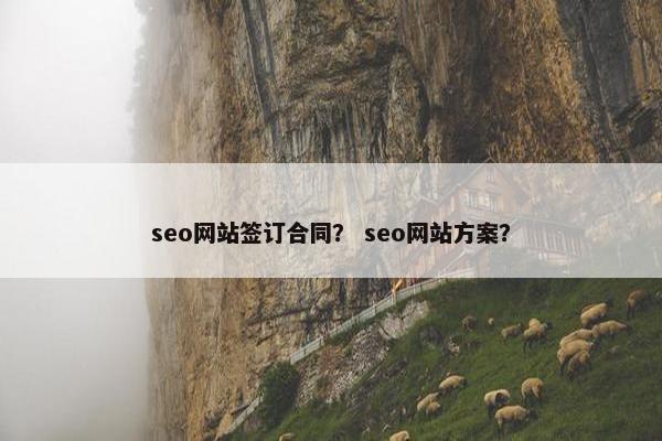 seo网站签订合同？ seo网站方案？